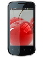 Best available price of Celkon A19 in Maldives
