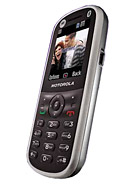 Best available price of Motorola WX288 in Maldives