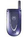 Best available price of Motorola V66i in Maldives